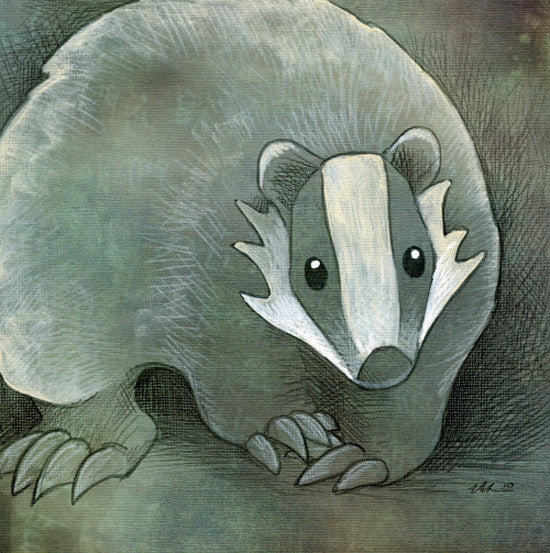 Wondrous Wildlife Prints Art Red Wombat Badger - 12x12 ($12)