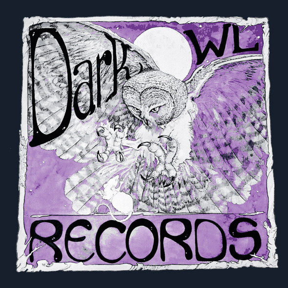 Dark Owl Records Shirt Shirts Welcome to Night Vale