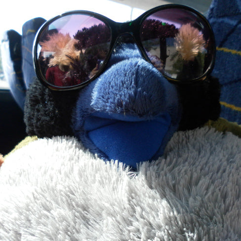 Giant Yelling Bird Plush **ON SALE!!** Plushes Jeph Jacques