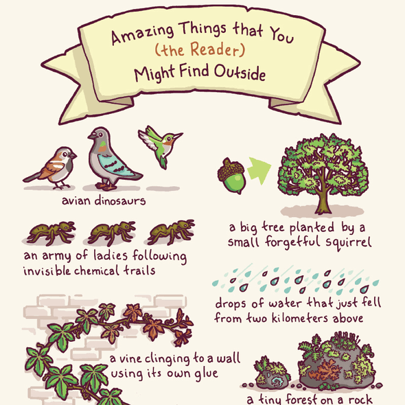 Amazing Things Print Art Bird and Moon