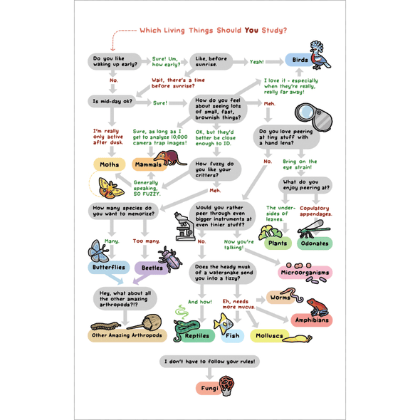 What Living Things Should YOU Study? Print Art Bird and Moon