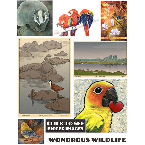 Wondrous Wildlife Prints Art Red Wombat