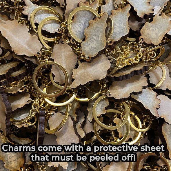 Scarlet Hollow Kaneeka and [REDACTED] Charms Accessories Black Tabby Games