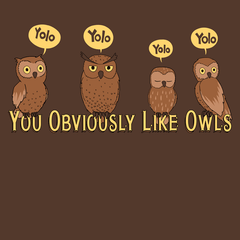 You Obviously Like Owls Shirt Shirts Jeph Jacques